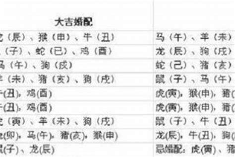 97年 生肖|1997年属牛的最佳配偶 97年属牛的和什么属相最配